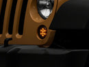 Photo - Close Up