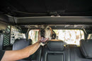 DV8 Offroad 2021-2024 Ford Bronco Dog Barrier