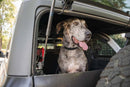 DV8 Offroad 2021-2024 Ford Bronco Dog Barrier