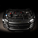 Cobb Ford 17-23 Ford F-150 2.7L/3.5L EcoBoost Redline Carbon Fiber Air Scoop