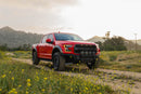 DV8 Offroad Ford 17-20 Ford F-150 Raptor Tube Front Bumper