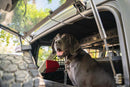 DV8 Offroad 2021-2024 Ford Bronco Dog Barrier