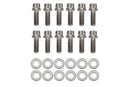 Wilwood Bolt Kit - Hat/Rotor 1/4-28x.75 12 Pt Stainless