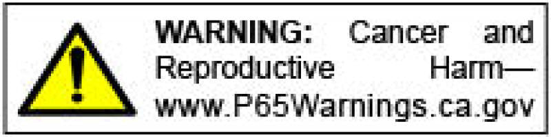 Go Rhino 04-15 Nissan Titan 4000 Series SideSteps - Cab Length - SS