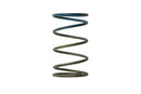 Turbosmart WG40 10PSI Outer Spring Brown/Blue